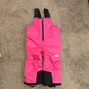 The North Face Fuchsia Snow Bib Overalls